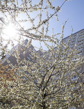 Climate-friendly energy supply in Berlin